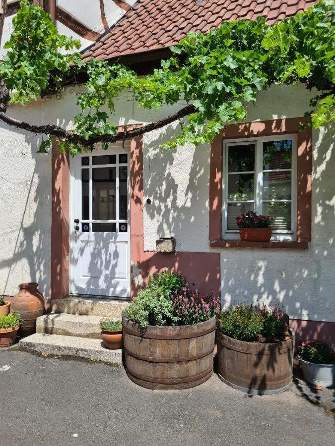 Schoene Ferienwohnung Mit Kamin Neustadt an der Weinstraße Kültér fotó